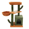 CactusCat Macska Kaparófa – Kaktusz Design